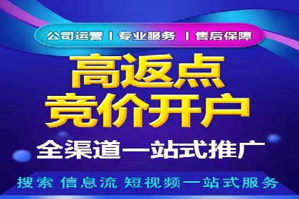 案例展示：托管竞价SEM助力企业实现业绩增长